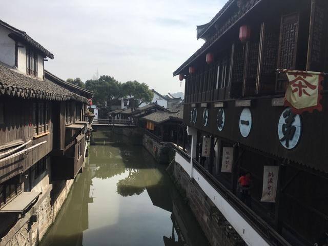 莉莉逃脱记